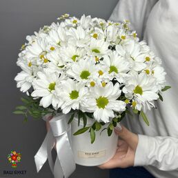Композиция из ромашек